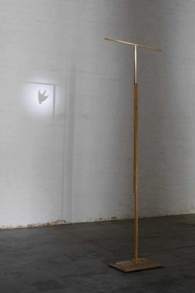 Foto einer Installation mit einem Vogel, der als Schatten an die Wand geworfen wird